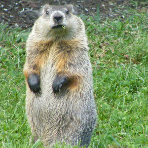 Meet your Posher, Axel